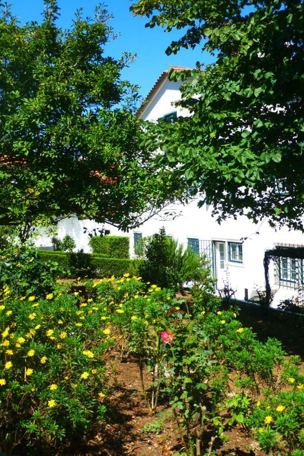 Comfy Sintra Exterior foto